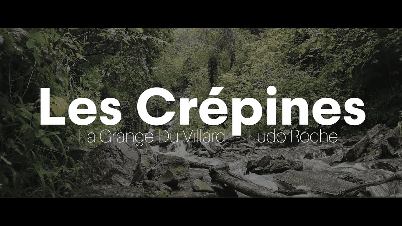 Ludo Roche - Les Cr&eacute;pines (La Grange du Villard EP)