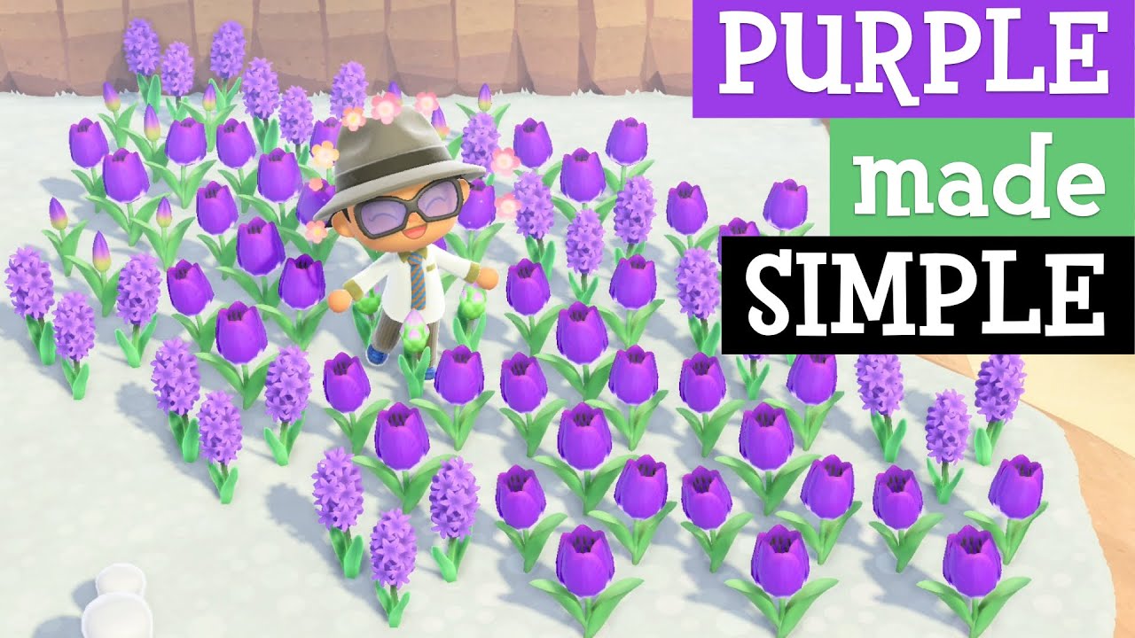 EASY way to make those hard purple hyacinth and purple tulips in Animal Crossing New Horizons