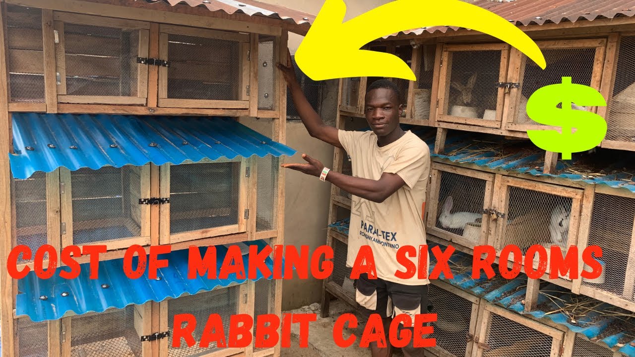 Cost of making a six rooms rabbit cage $$ || rabbit farming