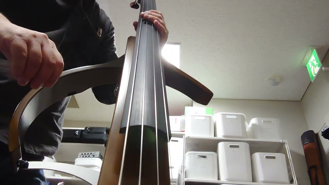YAMAHA SLB300 DEMO