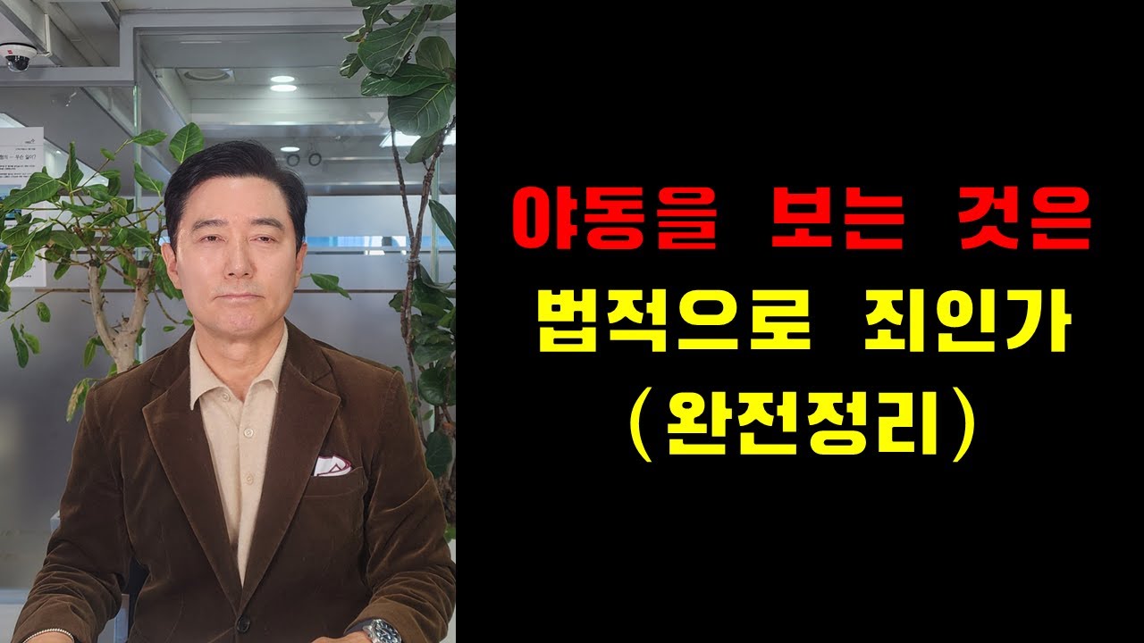 야동을 보는 것은 법적으로 죄인가(완전정리)