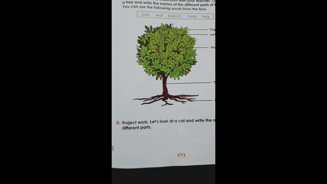 Class -3- English - Unit -5-Lesson -3( Osman's village life ) answer 