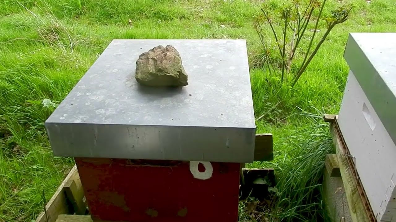Visite de printemps sans ouvrir évalués  les ruches piège , à frelons pose des bouteilles