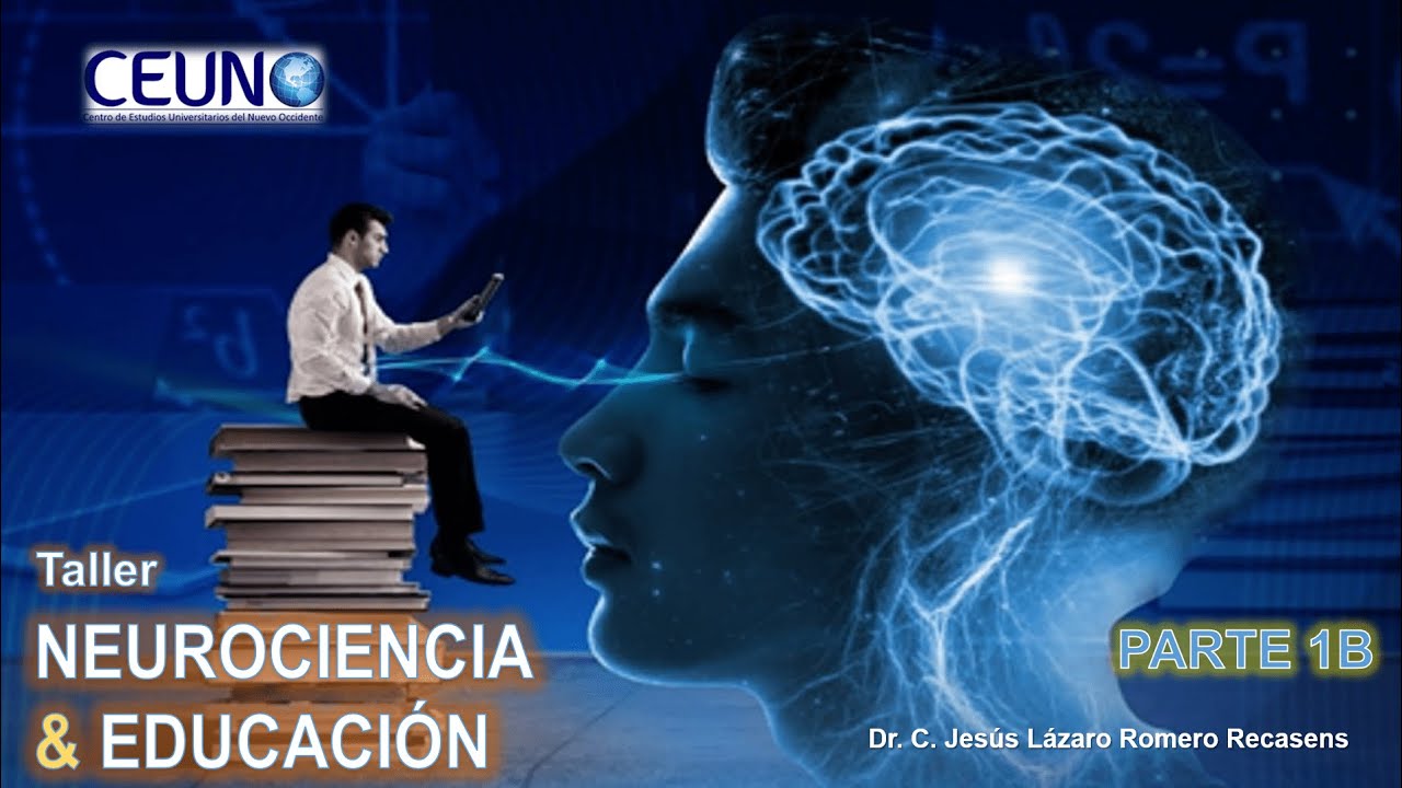 Taller de Neurociencia y educaci&oacute;n. Parte 1B