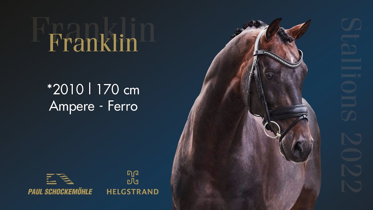 Franklin - Dressage Collection 2022 Schockemöhle & Helgstrand (ENG)