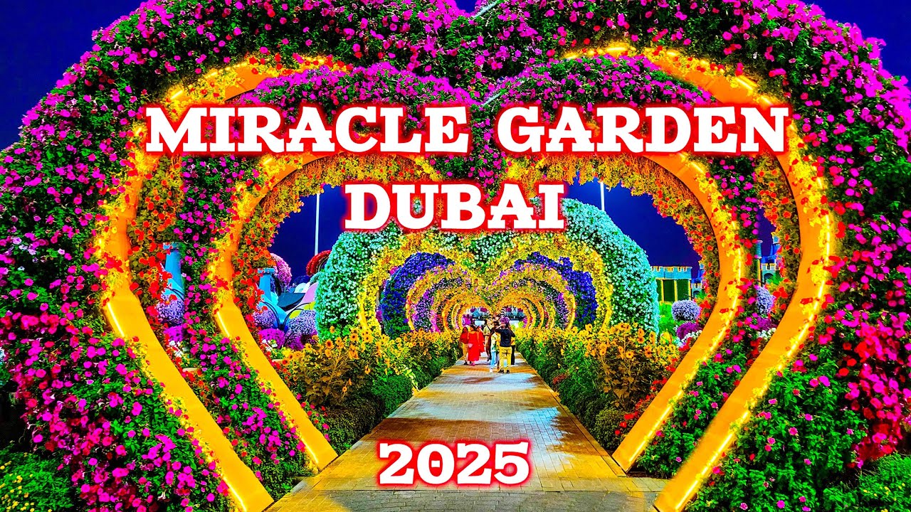Miracle Garden Dubai | Dubai Miracle Garden 2025 | Miracle Garden in Dubai full Information | Dubai
