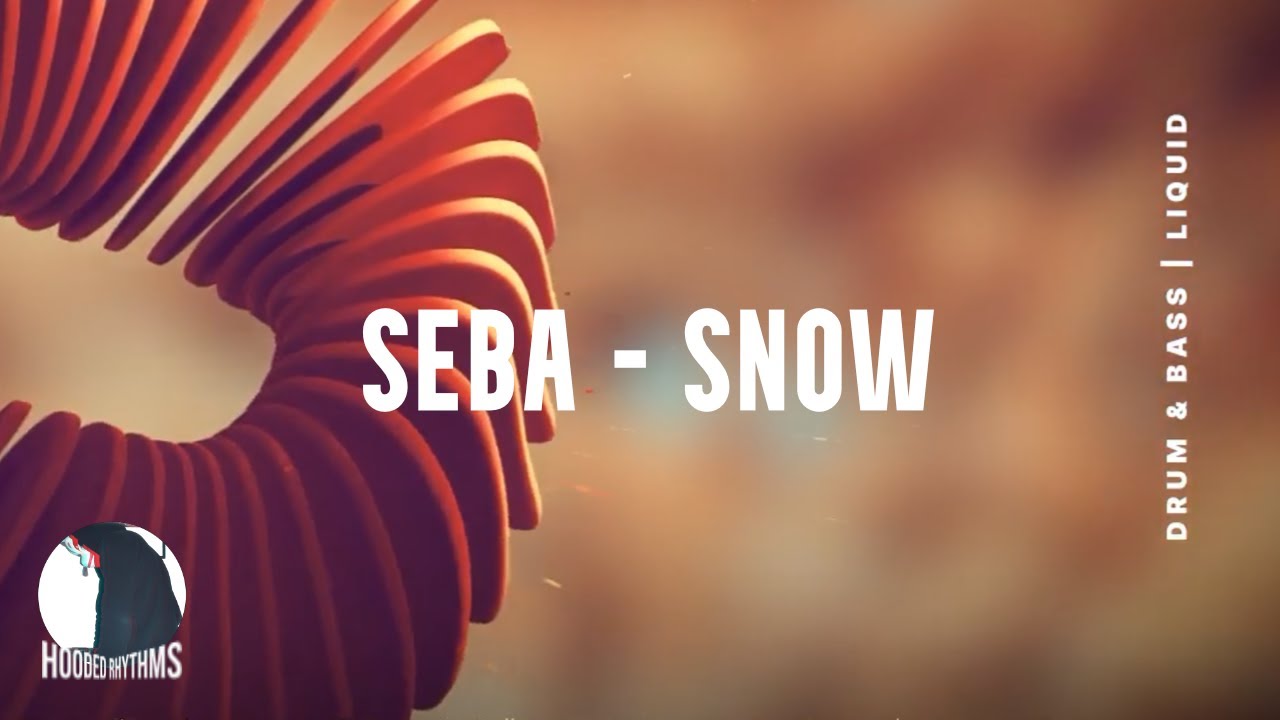 Seba - Snow