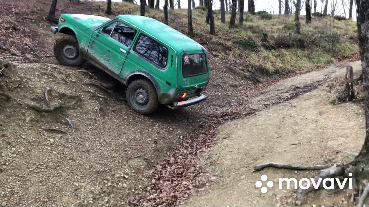 Нива + заварка