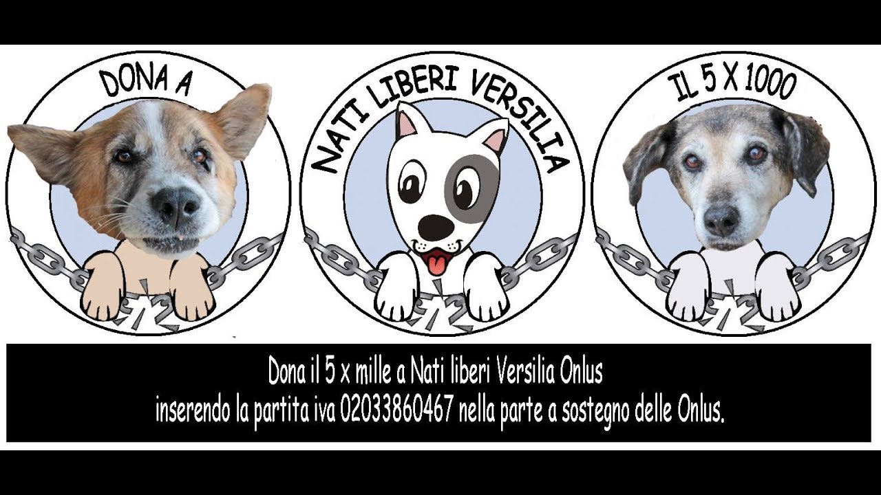 Nati Liberi versilia Onlus