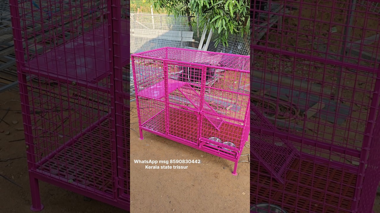 4&times;2&times;3 feet cat cage            WhatsApp msg 8590830442