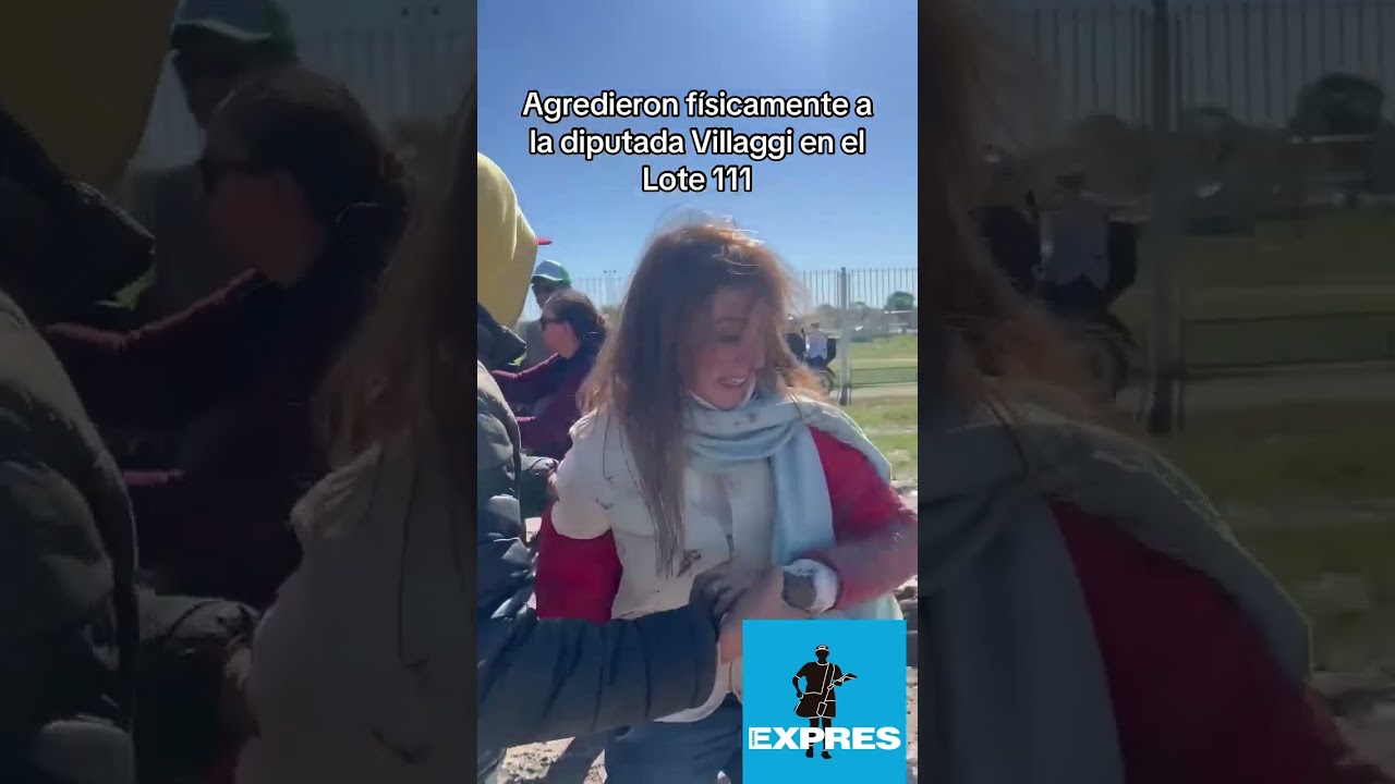 Agredieron f&iacute;sicamente a la diputada Villaggi en el Lote 111
