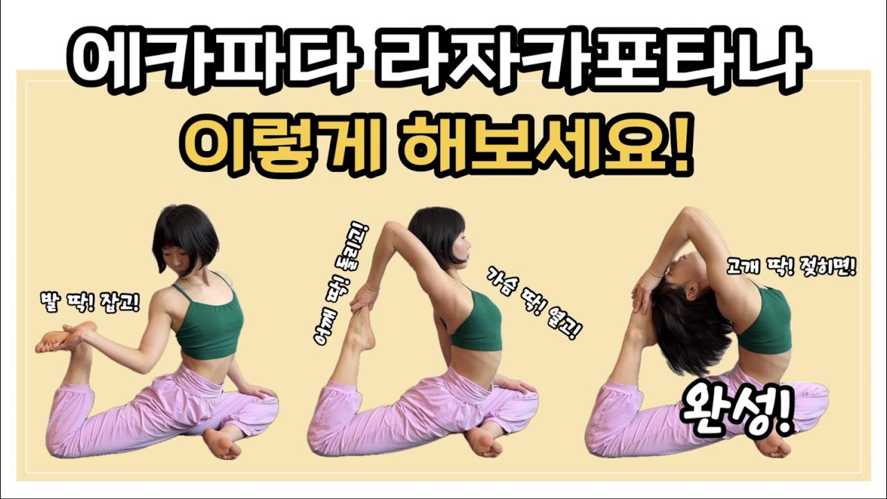 [요가꿀팁🍯] 에카파다라자카포타나아사나 / 왕비둘기자세 / 어깨 회전 이렇게 연습 해보세요!