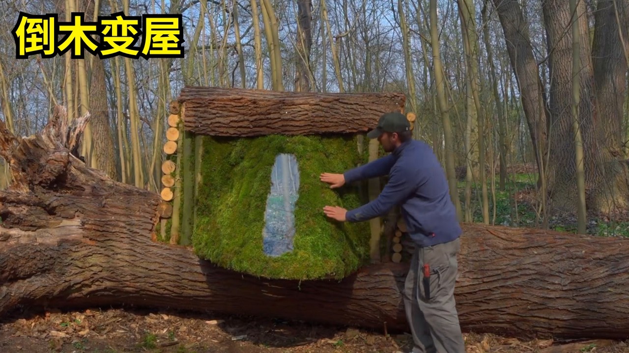 荒野建造改造：倒塌枯树变成可长期居住的小屋 | 生死荒野