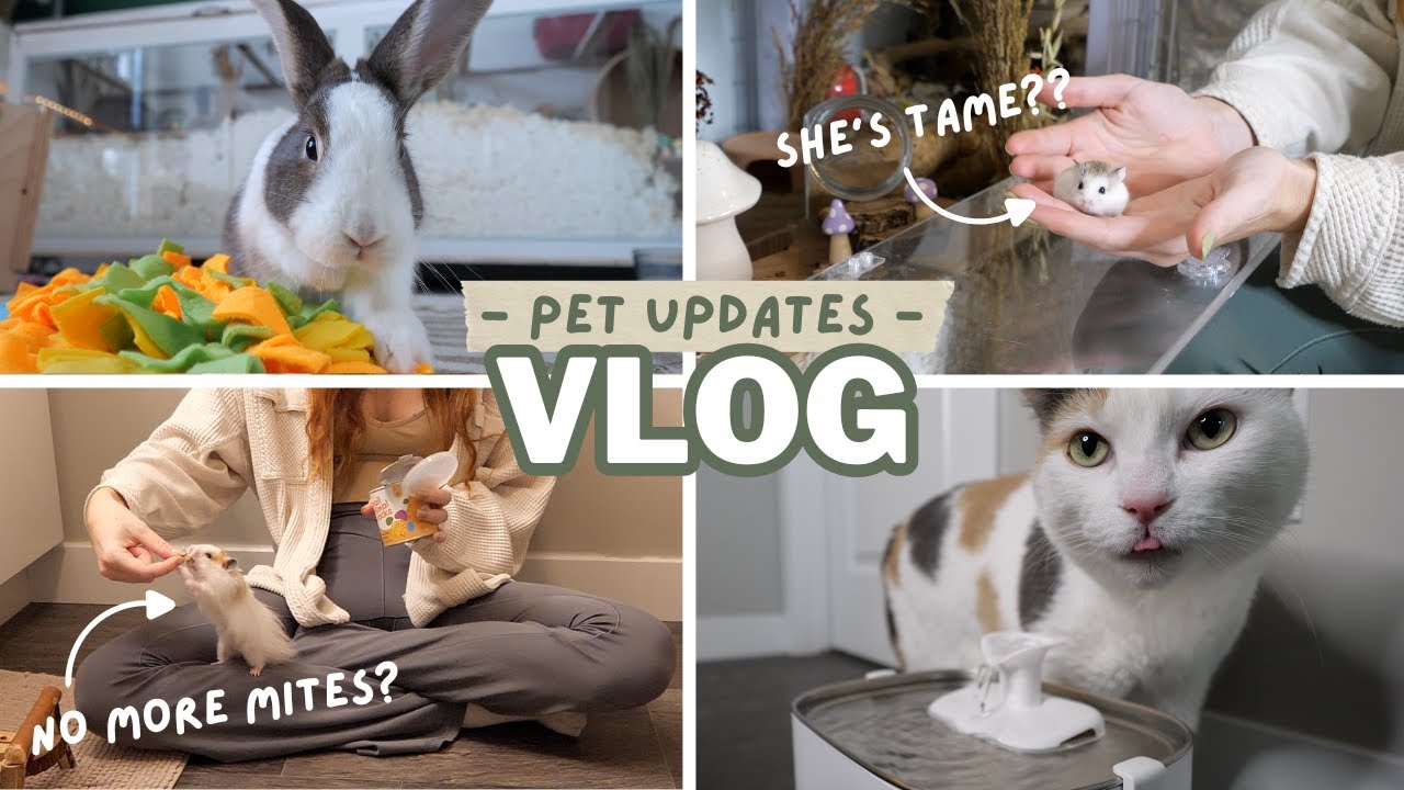 I'M BACK! Spend the Day with my Pets! | vlog