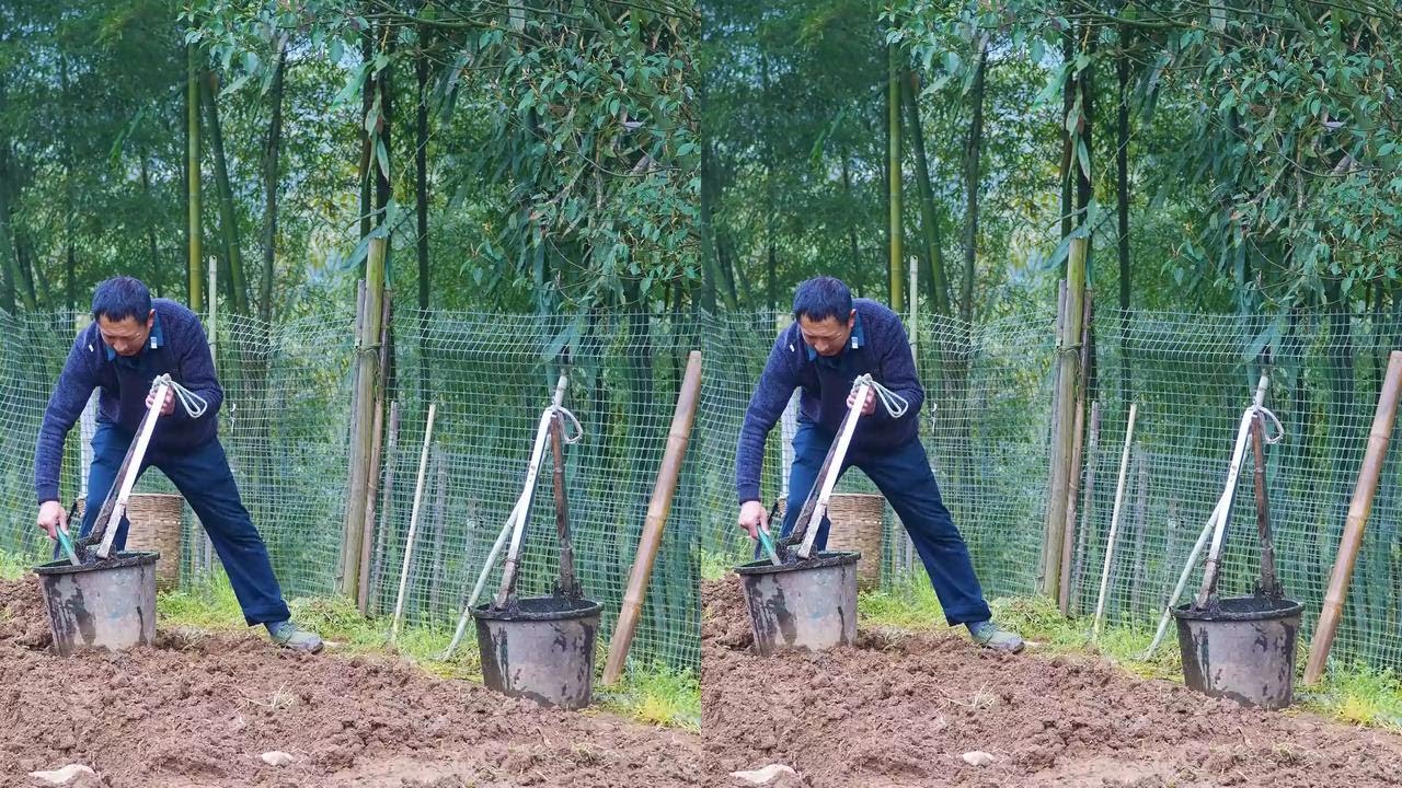 带父亲去成都看眼睛，为了给我减轻负担，宁可看不见也不愿去