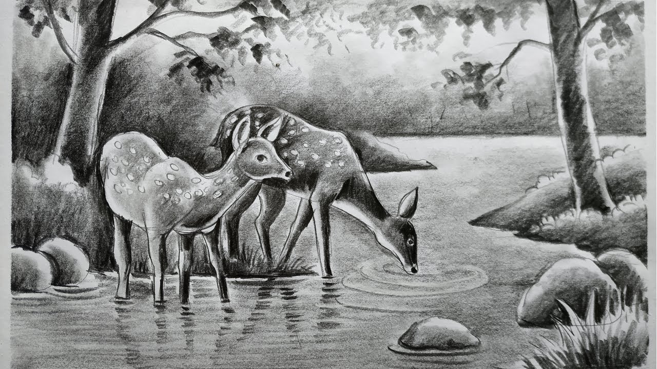 how to draw deer with pencil sketch scenery,how to draw forest scenery step by step,animals drawing
