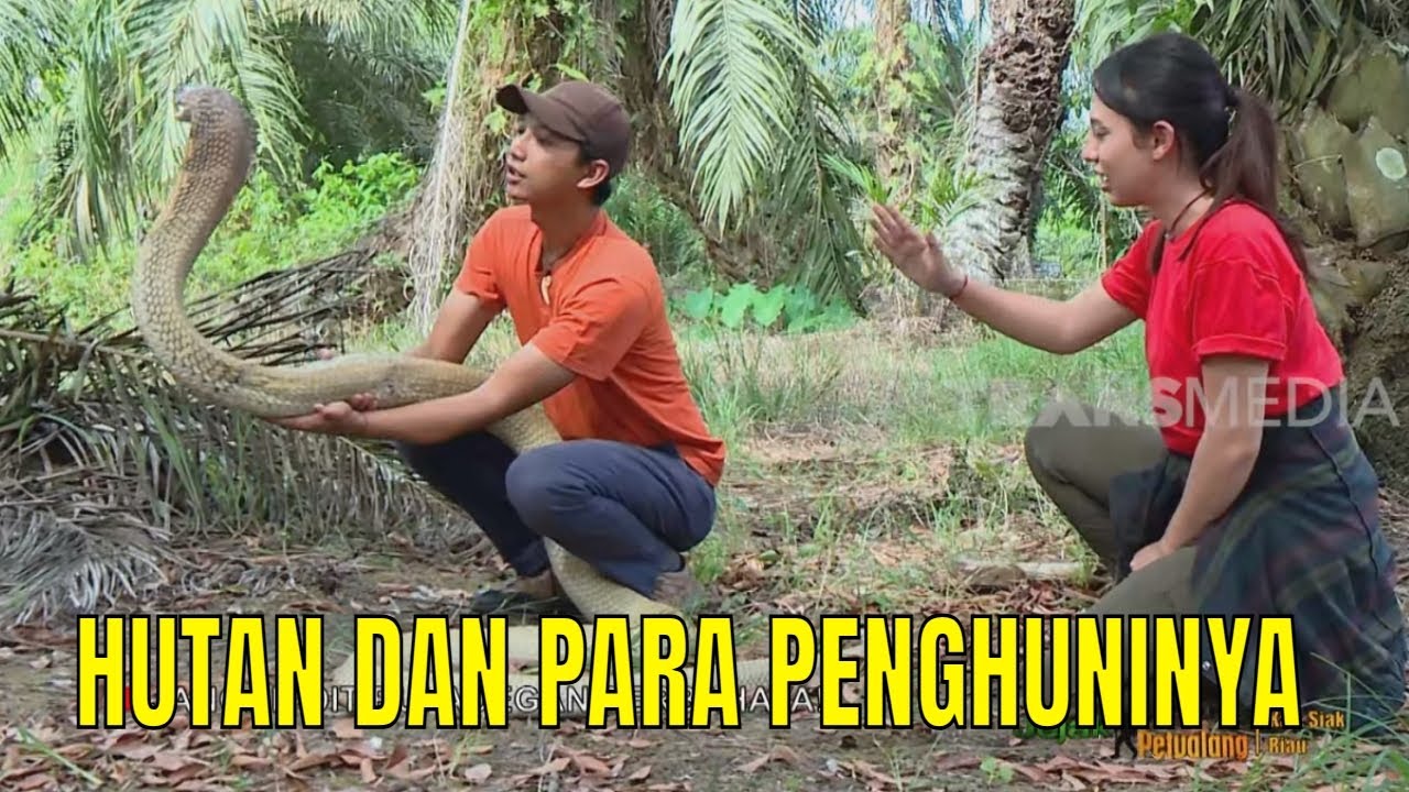 [FULL] HUTAN DAN PARA PENGHUNINYA | JEJAK PETUALANG (03/09/25