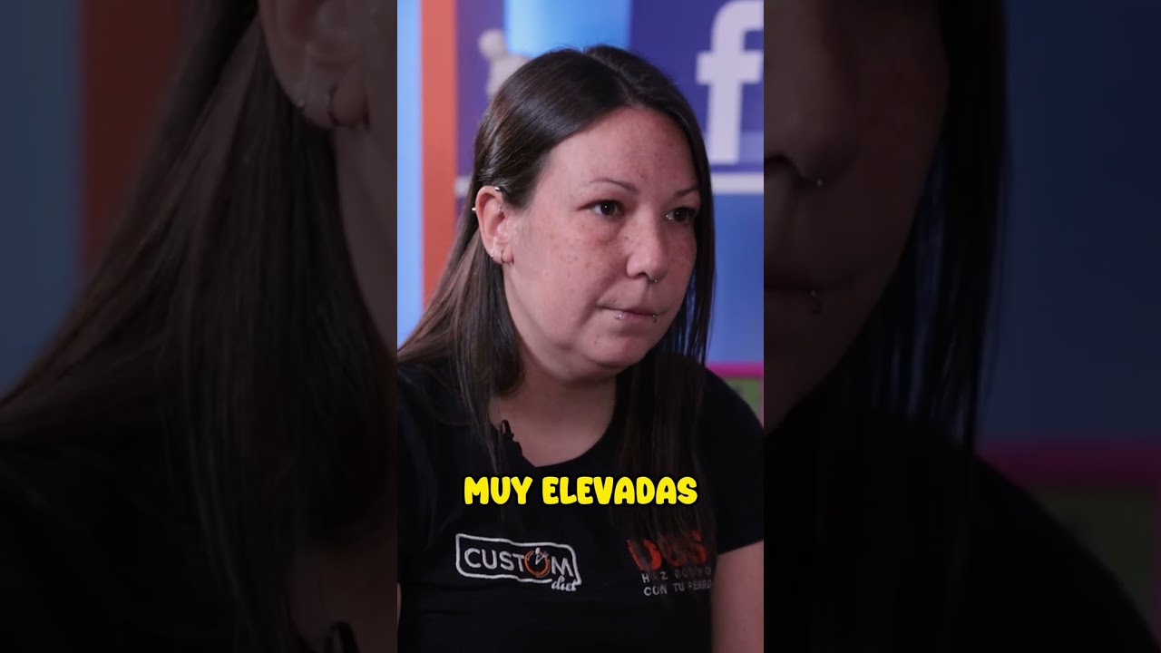 &iquest;Qu&eacute; es un cachorro? 😅 | Adiestramiento Canino 🐶