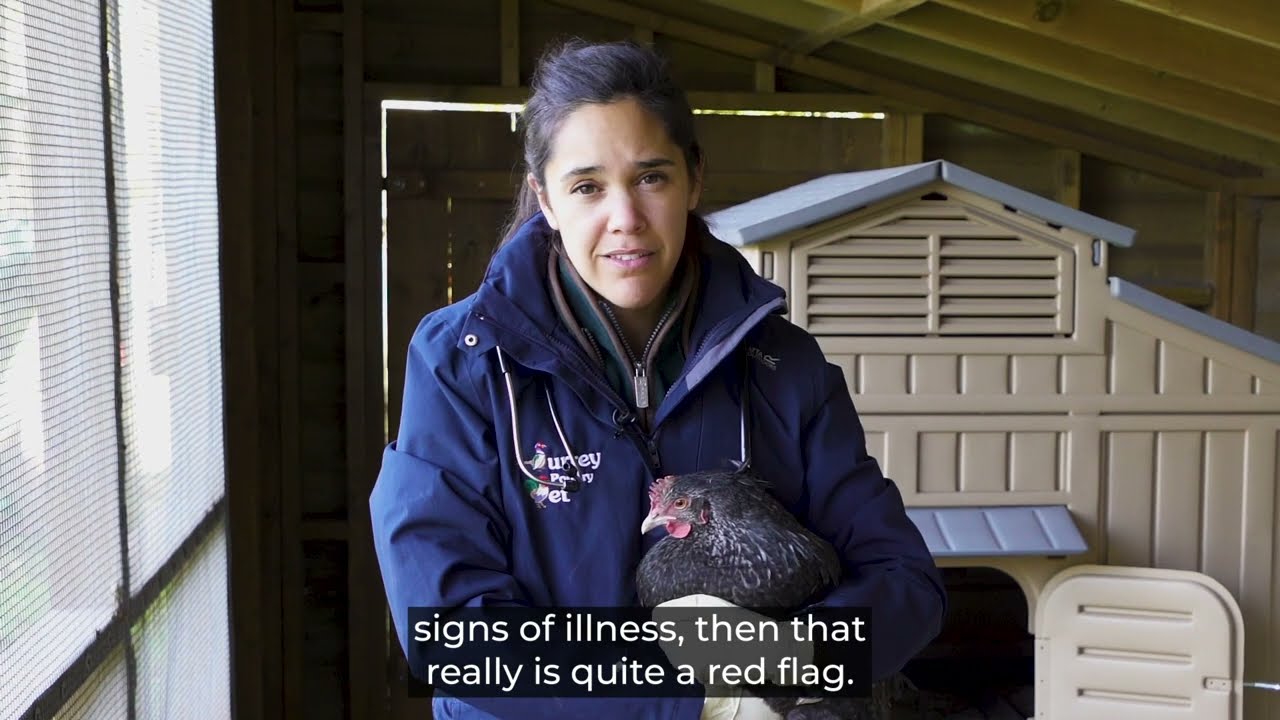The Surrey Poultry Vet - Clinical signs
