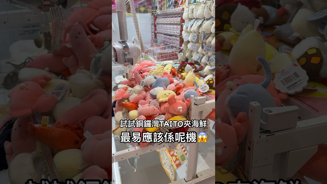 試試銅鑼灣TAITO夾公仔海鮮 最容易應該係呢部 #夾公仔 #香港 #抓娃娃 #抓娃娃机 #夾娃娃機 #夾娃娃 #夾娃娃機技巧 #銅鑼灣 #香港夾公仔