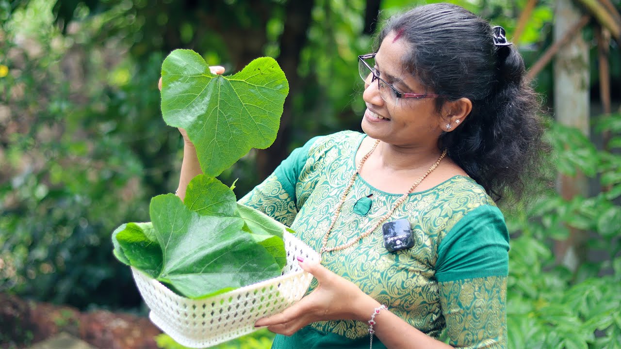 അമ്പമ്പോ കിടു💯 മത്തൻ ഇല മുറ്റത്തുണ്ടായിട്ടും ഇതുവരെ ഈ ബുദ്ധി തോന്നിയില്ലല്ലോ! | Pumkin Leaf Fish Fry