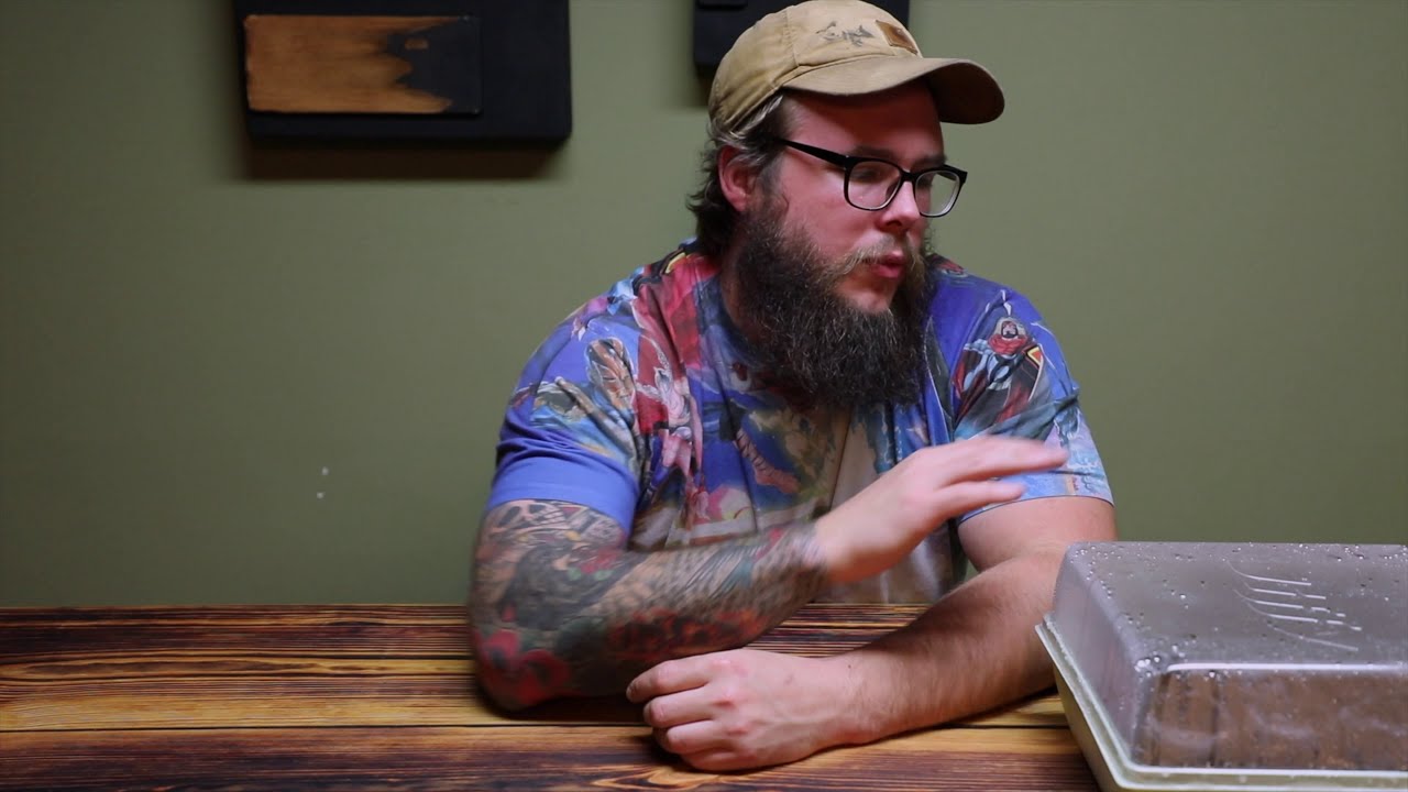 $4 Seed Tray Or $10 Seed Tray Which Is Best| We Will Find Out On Our Farm/Homestead (#51)