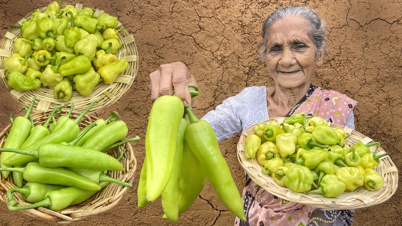 Authentic Banana Pepper Tomato Curry 🍅 Stuffed Banana Pepper 🌶️ (Capsicum) Recipe by Grandma Menu