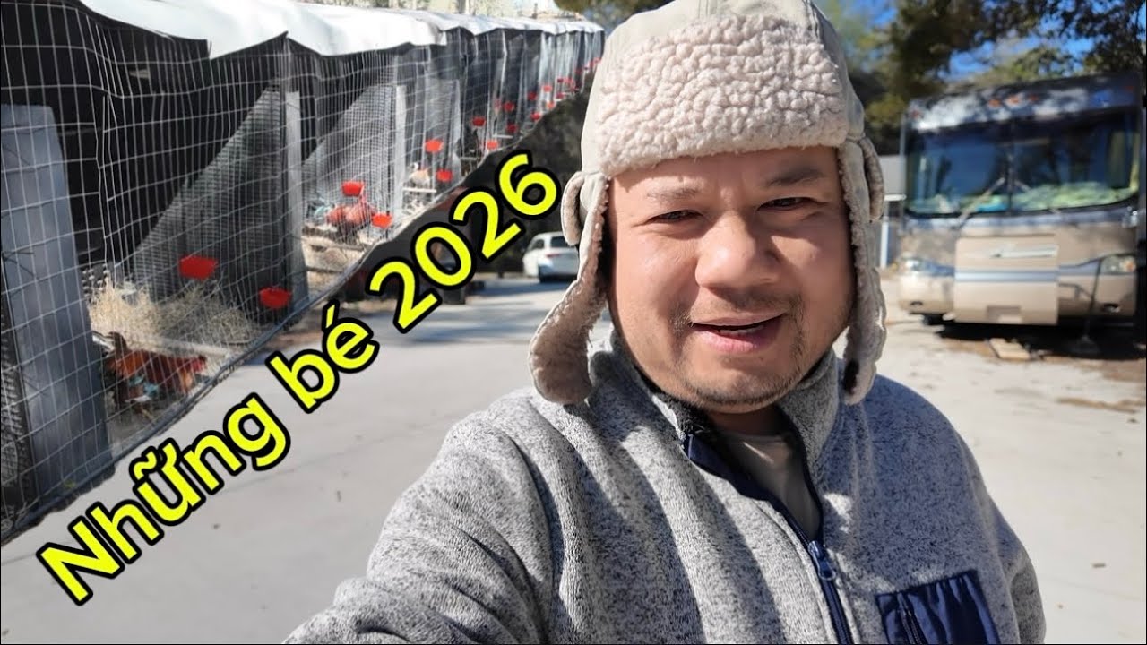 February 26, 2026