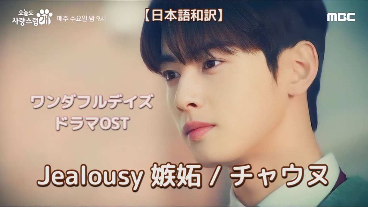 Jealousy 질투 嫉妬/チャウヌ【日本語和訳】ワンダフルデイズOST