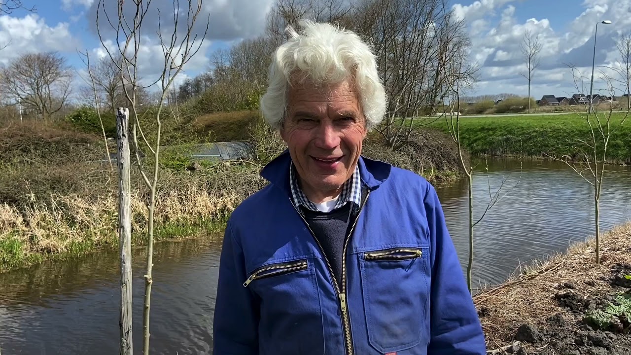 Plant een Wilg!
