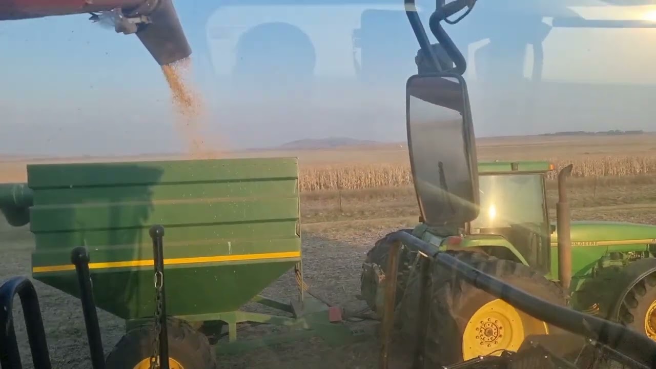 Beautiful Saturday afternoon soybean harvest on Rietbult South Africa