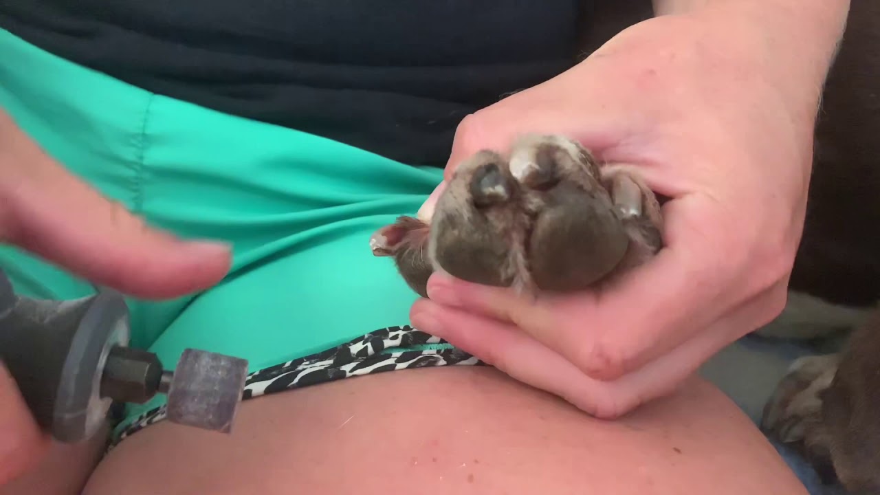Nail trim - Part 1