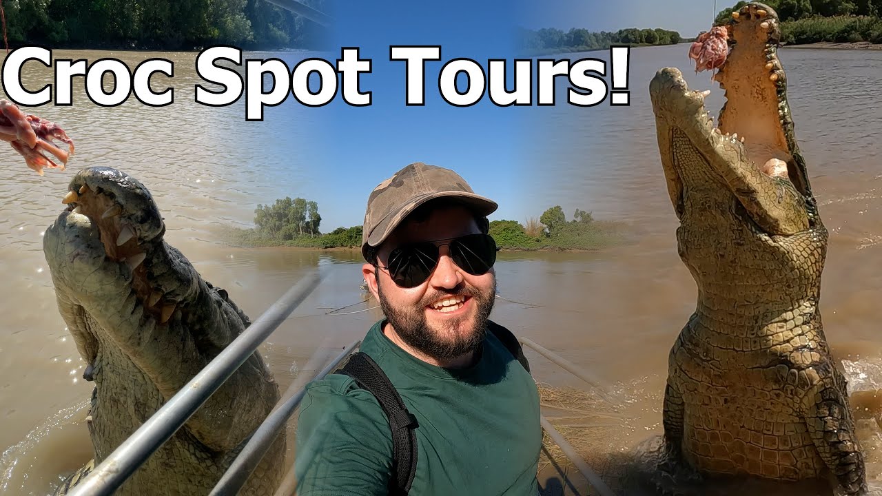 5.5m Long Salt Water Crocodiles!! Can They Really Jump That High?!?! Croc Spot Tours NT AUS.