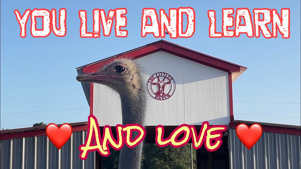 You Live, Learn, and LOVE ❤️