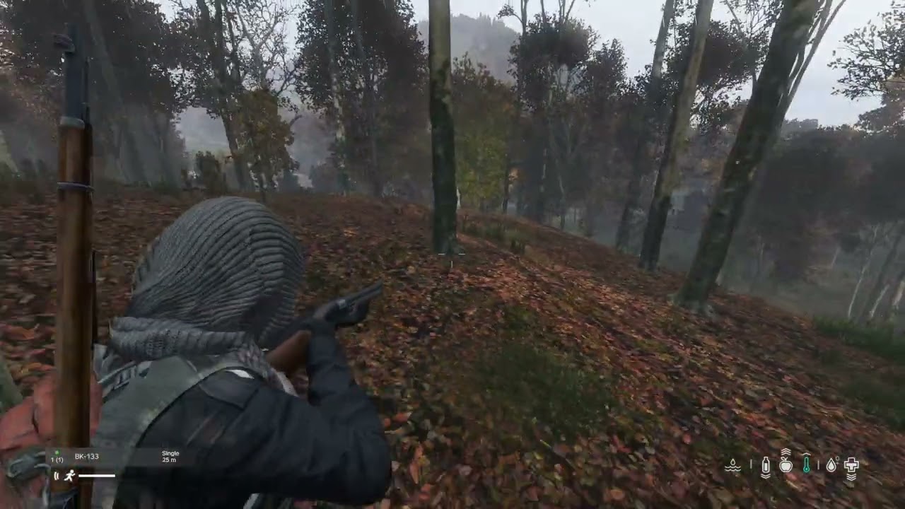 Crazed Lunatics in the woods #dayz #dayzgameplay #gaming #gameplay #dayzpvp #dayzclips #dayzmoments