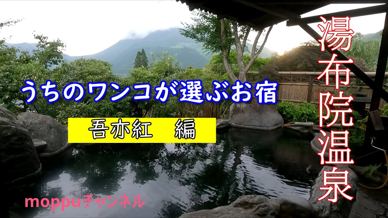 走るモップハウス【バンコン】が行く!!!うちのワンコが選ぶお宿♪湯布院山荘　吾亦紅 編