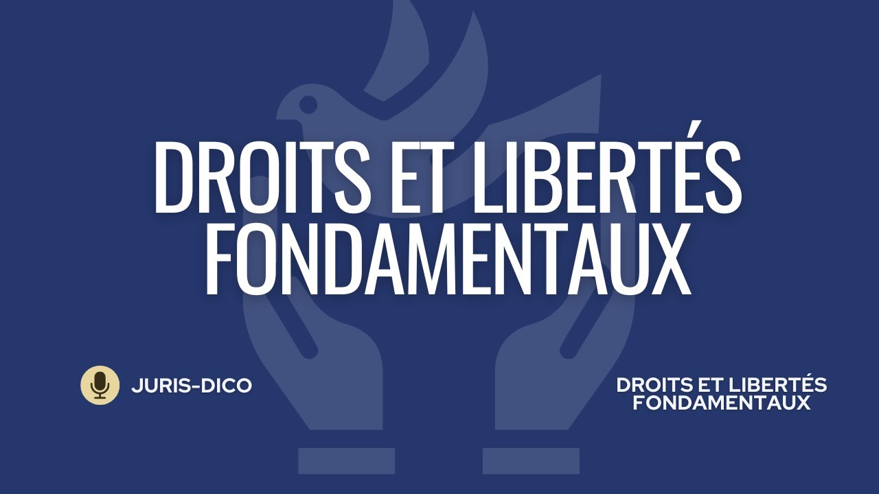 Les libertés et droits fondamentaux [Droits et libertés fondamentaux]