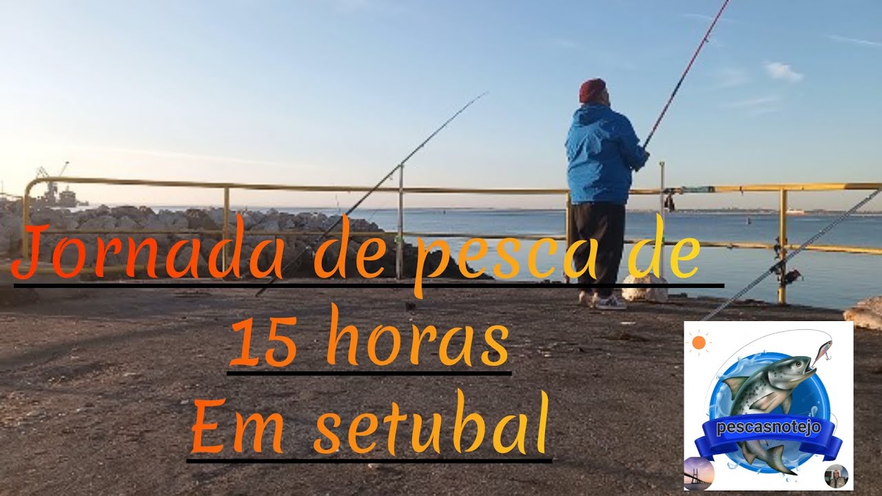 jornada de pesca em setubal 15 horas sem parar diversas capturas (cenas inéditas no canal)