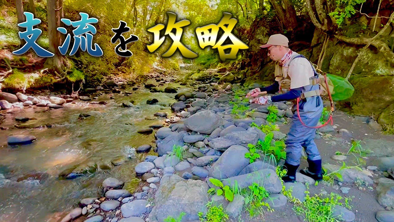 【渓流釣り】水量が少ない支流の攻略はこのルアーが活躍する！１級ポイントを攻めるには・・・後編