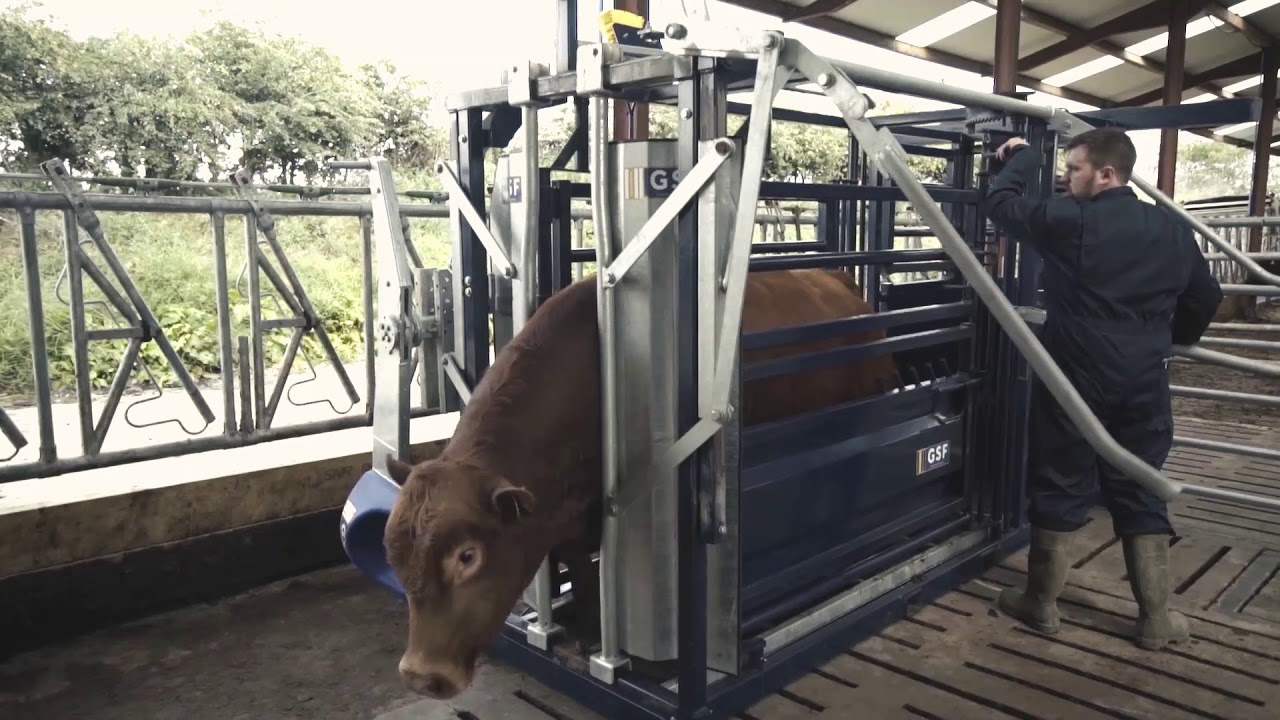 Static Squeeze Crush - GSF Livestock Systems, Eglington