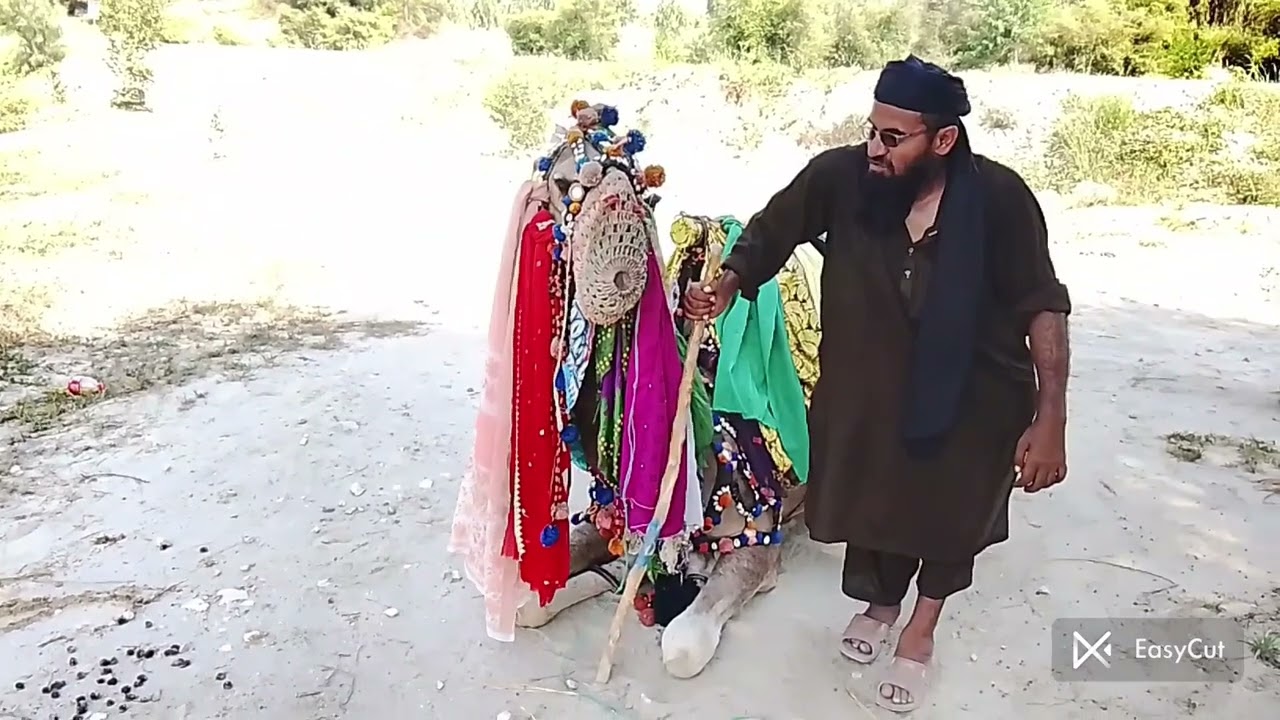 Mohammed abubakar