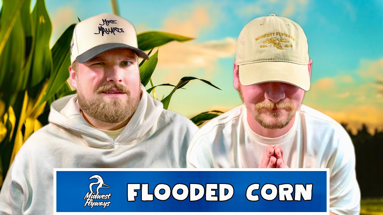 Flooded Corn