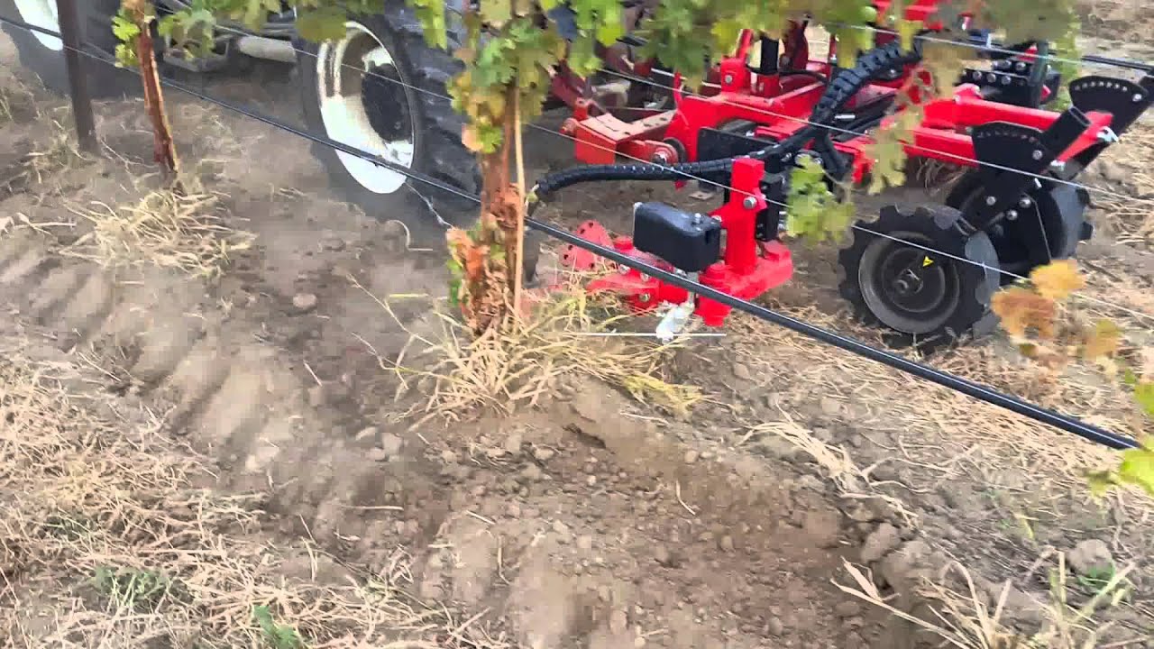 🚜🍇 INTERCEPAS rotativo quitando Malas Hierbas en la Vi&ntilde;a | ID David