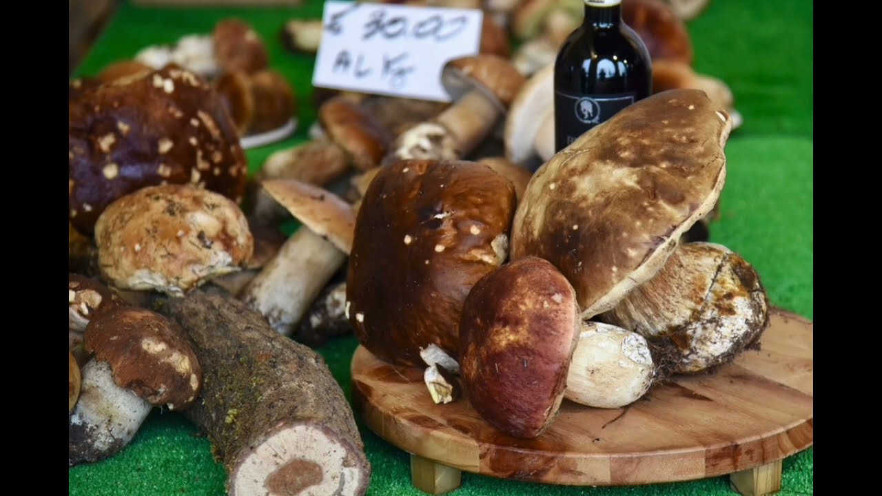 Moncalvo fiera Tartufo 2024 A