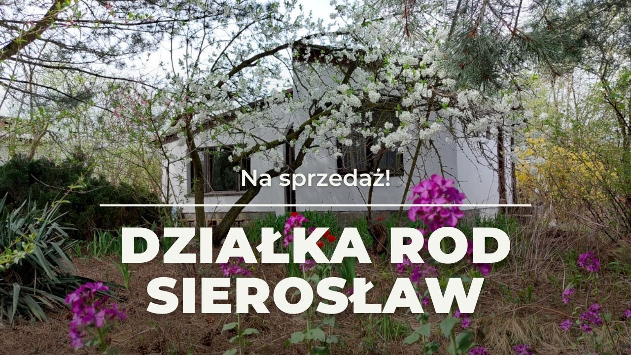 Bez prowizji, Działka ROD, Sierosław IV, Domek, Las, Jeziora