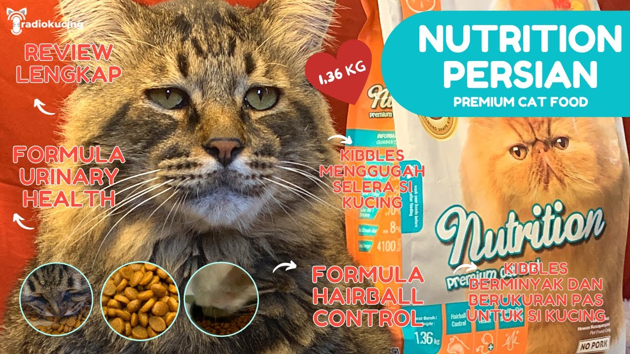 Review Dry Food Premium Nutrition Persian Premium Cat Food Urinary Health & Hairball Control #114