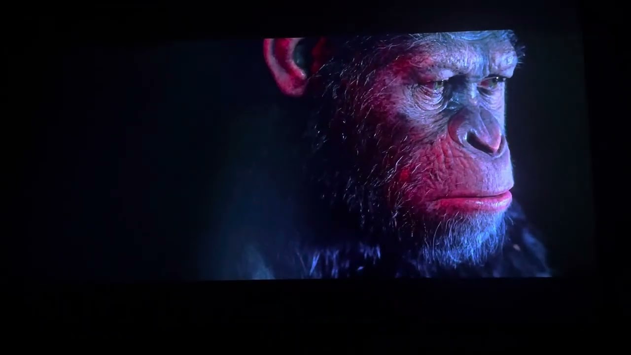 War for the planet of the apes Caesar and Bad Ape were talking