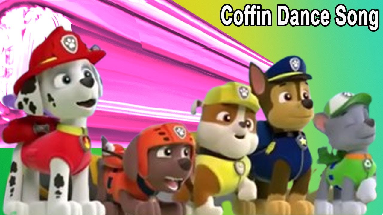 Paw Patrol - Coffin Dance Song Cover - Meme Song Cover Ep04