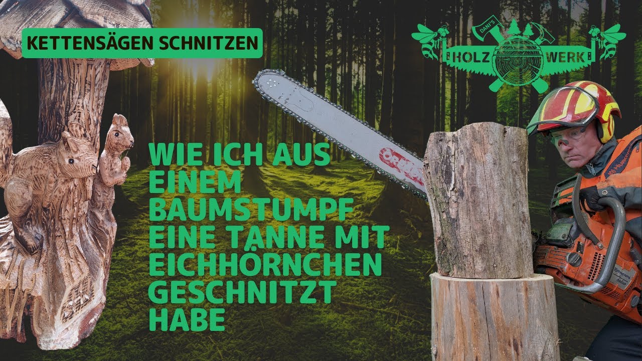 Eichhörnchen in Tanne aus Baumstumpf