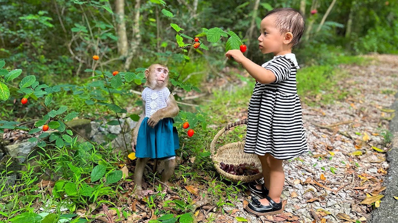 Diem and Kaka the Monkey had a great time in the forest.